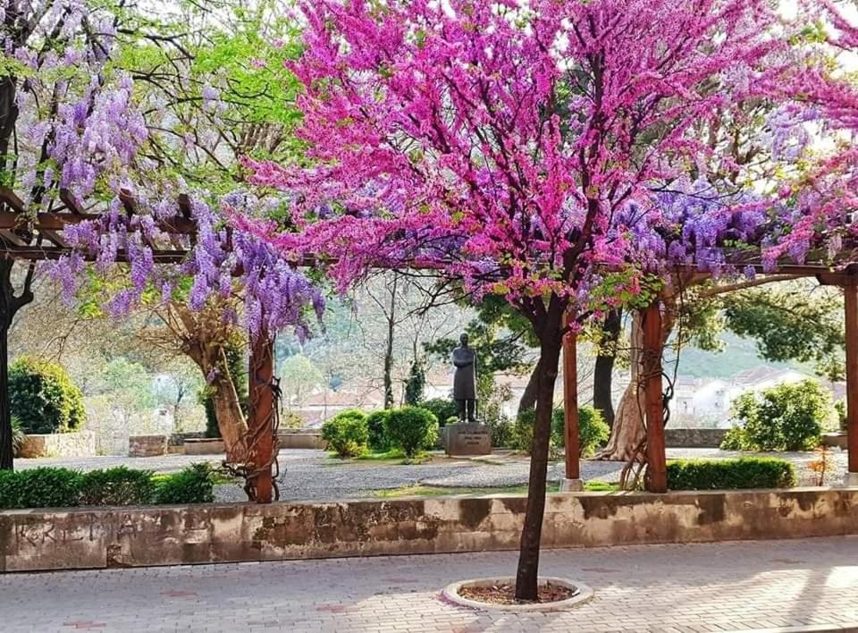Apartment With Garden Hanja โมสตาร์ ภายนอก รูปภาพ